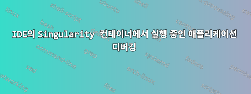 IDE의 Singularity 컨테이너에서 실행 중인 애플리케이션 디버깅