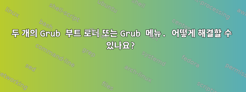 두 개의 Grub 부트 로더 또는 Grub 메뉴. 어떻게 해결할 수 있나요?