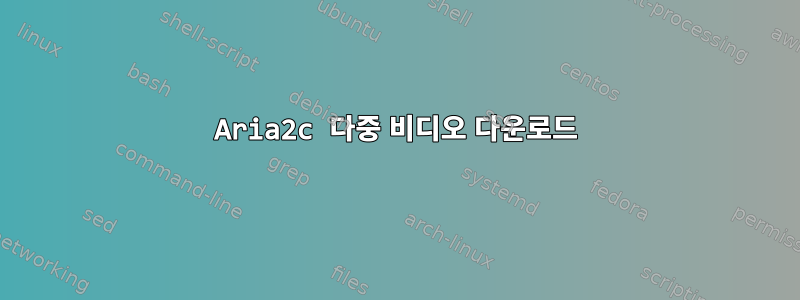 Aria2c 다중 비디오 다운로드