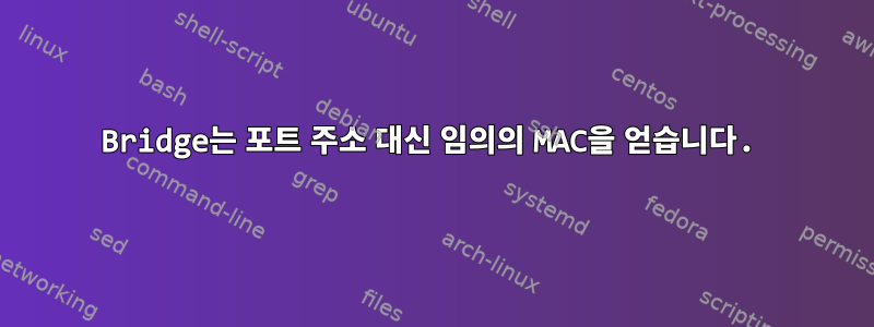 Bridge는 포트 주소 대신 임의의 MAC을 얻습니다.