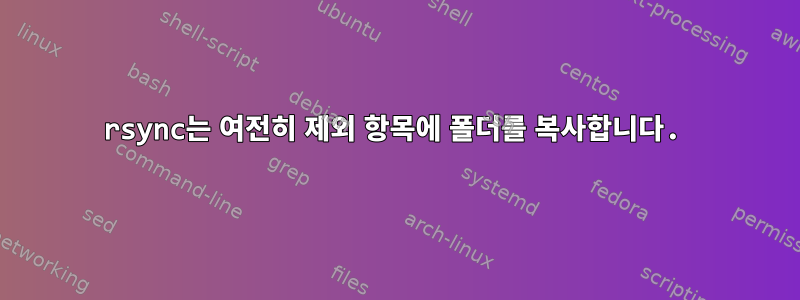 rsync는 여전히 제외 항목에 폴더를 복사합니다.