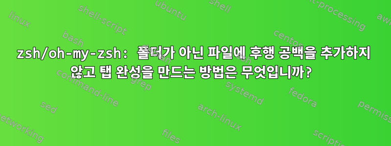 zsh/oh-my-zsh: 폴더가 아닌 파일에 후행 공백을 추가하지 않고 탭 완성을 만드는 방법은 무엇입니까?