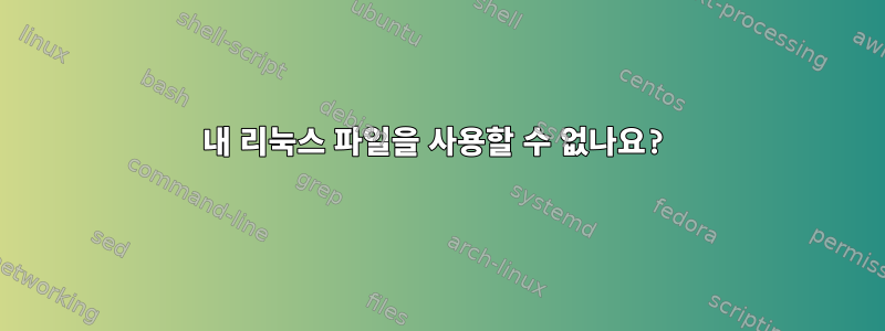 내 리눅스 파일을 사용할 수 없나요?