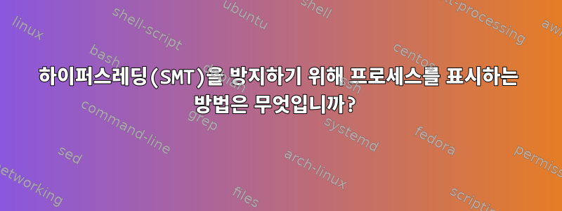 하이퍼스레딩(SMT)을 방지하기 위해 프로세스를 표시하는 방법은 무엇입니까?