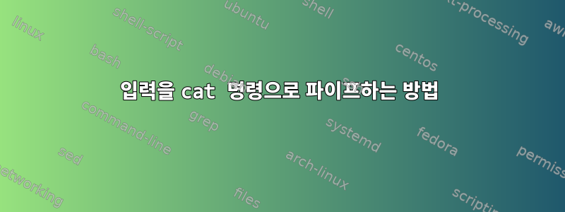 입력을 cat 명령으로 파이프하는 방법