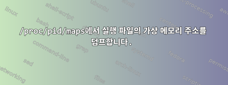 /proc/pid/maps에서 실행 파일의 가상 메모리 주소를 덤프합니다.