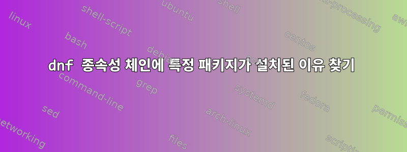 dnf 종속성 체인에 특정 패키지가 설치된 이유 찾기