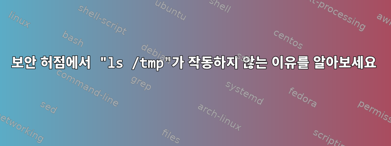 보안 허점에서 "ls /tmp"가 작동하지 않는 이유를 알아보세요