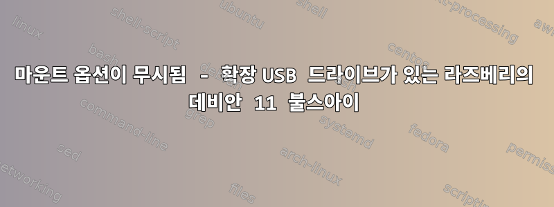 마운트 옵션이 무시됨 - 확장 USB 드라이브가 있는 라즈베리의 데비안 11 불스아이