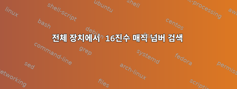 전체 장치에서 16진수 매직 넘버 검색