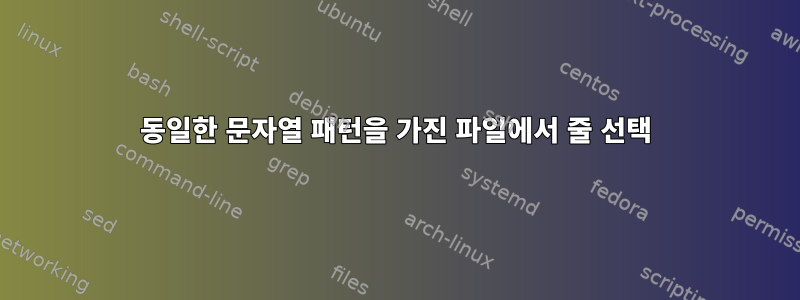 동일한 문자열 패턴을 가진 파일에서 줄 선택