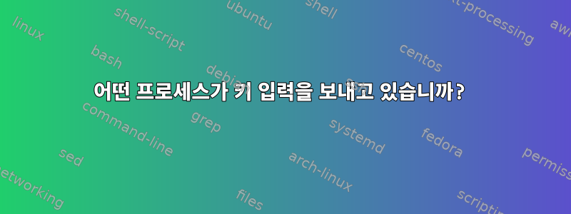 어떤 프로세스가 키 입력을 보내고 있습니까?