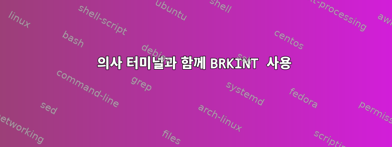 의사 터미널과 함께 BRKINT 사용