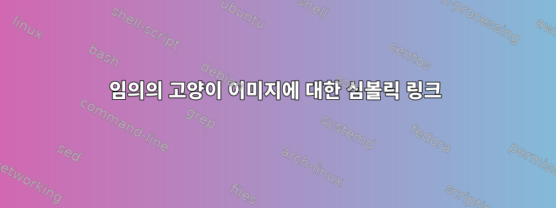 임의의 고양이 이미지에 대한 심볼릭 링크