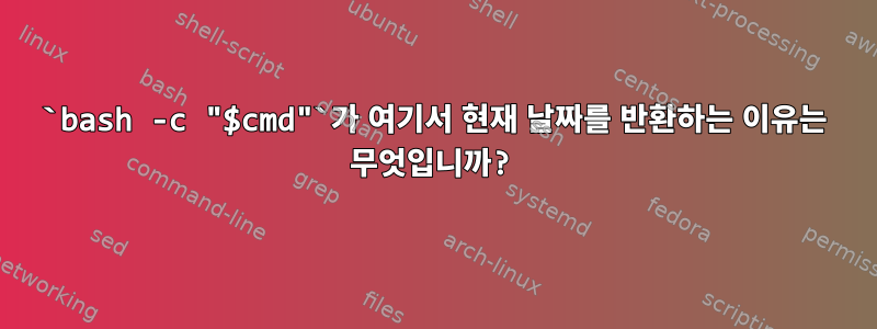 `bash -c "$cmd"`가 여기서 현재 날짜를 반환하는 이유는 무엇입니까?