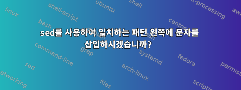 sed를 사용하여 일치하는 패턴 왼쪽에 문자를 삽입하시겠습니까?