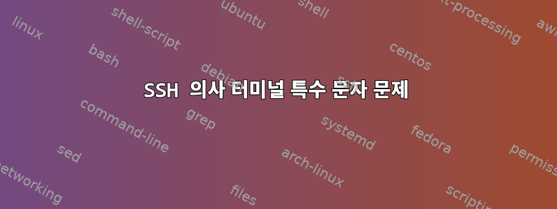 SSH 의사 터미널 특수 문자 문제