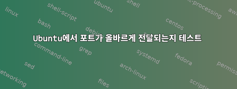 Ubuntu에서 포트가 올바르게 전달되는지 테스트