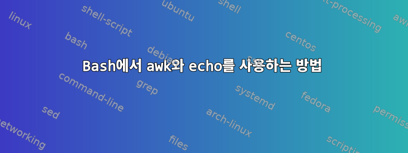 Bash에서 awk와 echo를 사용하는 방법