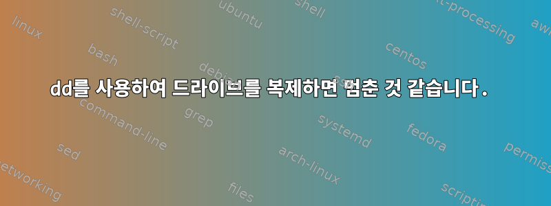 dd를 사용하여 드라이브를 복제하면 멈춘 것 같습니다.