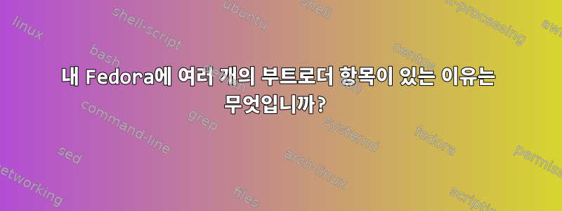 내 Fedora에 여러 개의 부트로더 항목이 있는 이유는 무엇입니까?