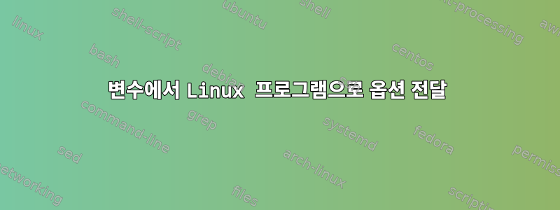 변수에서 Linux 프로그램으로 옵션 전달