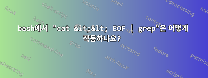 bash에서 "cat &lt;&lt; EOF | grep"은 어떻게 작동하나요?