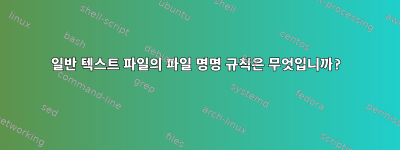 일반 텍스트 파일의 파일 명명 규칙은 무엇입니까?