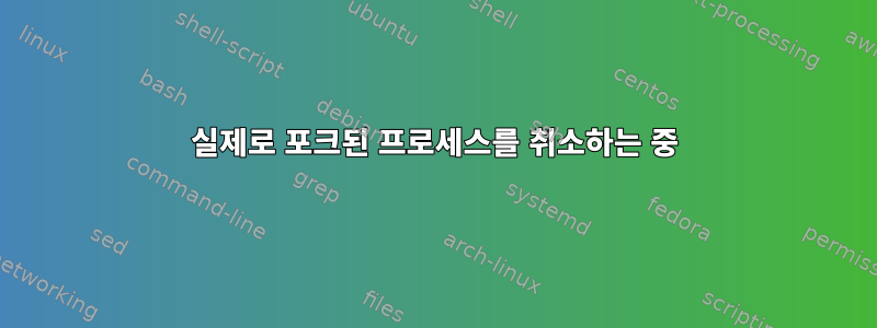 실제로 포크된 프로세스를 취소하는 중