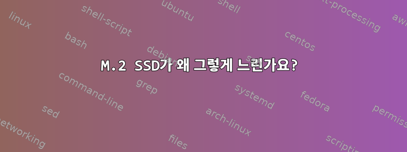 M.2 SSD가 왜 그렇게 느린가요?