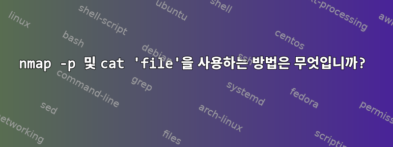 nmap -p 및 cat 'file'을 사용하는 방법은 무엇입니까?