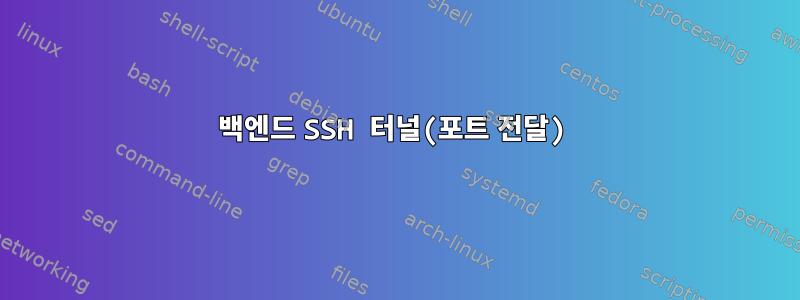 백엔드 SSH 터널(포트 전달)