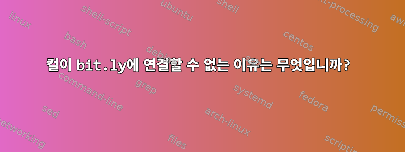 컬이 bit.ly에 연결할 수 없는 이유는 무엇입니까?