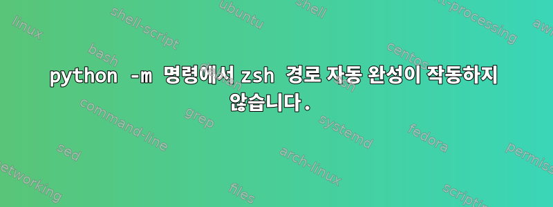 python -m 명령에서 zsh 경로 자동 완성이 작동하지 않습니다.