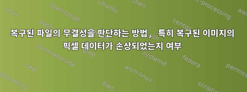 복구된 파일의 무결성을 판단하는 방법, 특히 복구된 이미지의 픽셀 데이터가 손상되었는지 여부