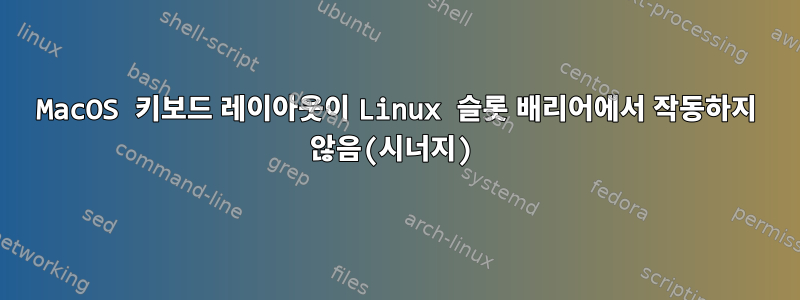 MacOS 키보드 레이아웃이 Linux 슬롯 배리어에서 작동하지 않음(시너지)