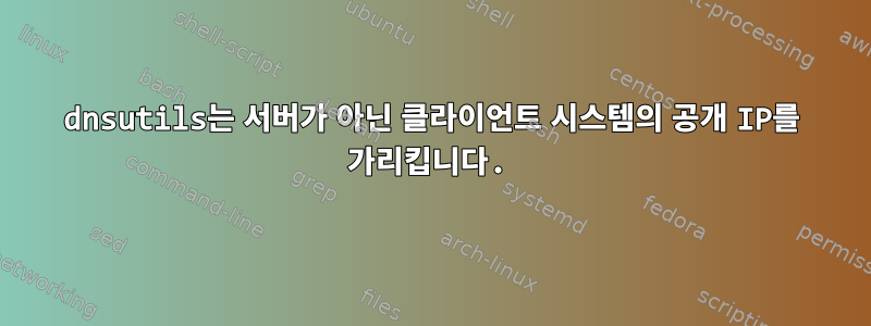 dnsutils는 서버가 아닌 클라이언트 시스템의 공개 IP를 가리킵니다.