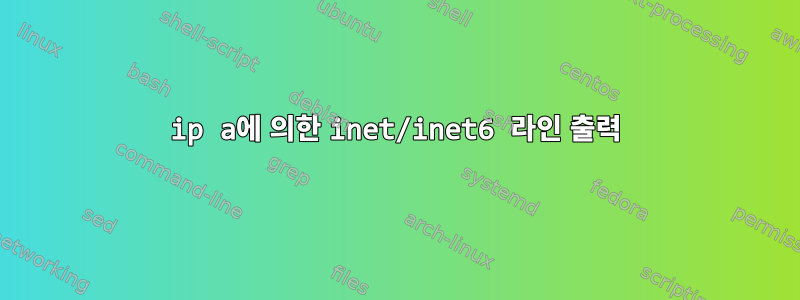 ip a에 의한 inet/inet6 라인 출력