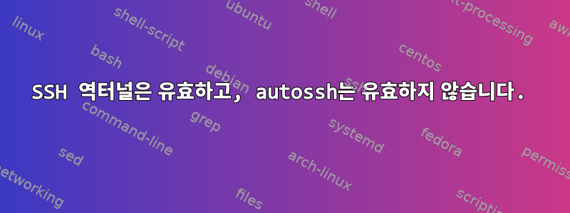 SSH 역터널은 유효하고, autossh는 유효하지 않습니다.