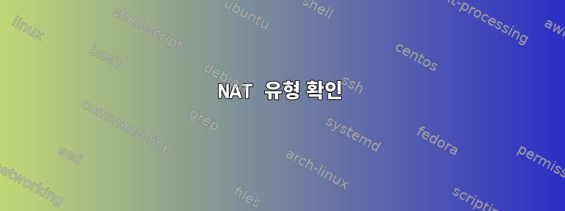 NAT 유형 확인