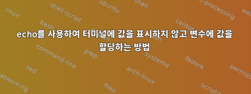 echo를 사용하여 터미널에 값을 표시하지 않고 변수에 값을 할당하는 방법