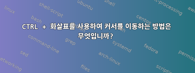 CTRL + 화살표를 사용하여 커서를 이동하는 방법은 무엇입니까?