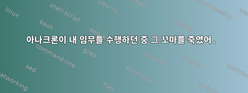 아나크론이 내 임무를 수행하던 중 그 꼬마를 죽였어.