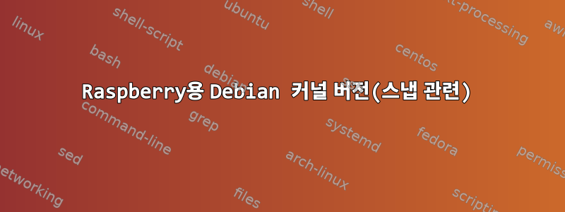 Raspberry용 Debian 커널 버전(스냅 관련)