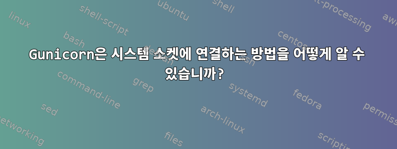 Gunicorn은 시스템 소켓에 연결하는 방법을 어떻게 알 수 있습니까?