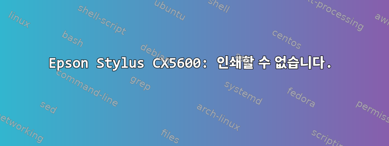 Epson Stylus CX5600: 인쇄할 수 없습니다.