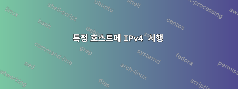 특정 호스트에 IPv4 시행