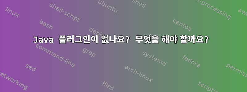 Java 플러그인이 없나요? 무엇을 해야 할까요?