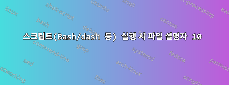 스크립트(Bash/dash 등) 실행 시 파일 설명자 10