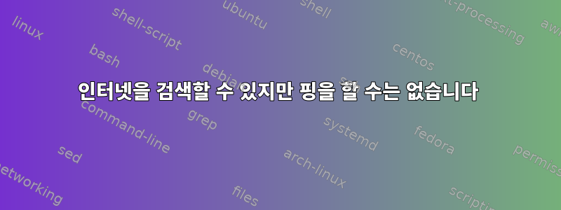 인터넷을 검색할 수 있지만 핑을 할 수는 없습니다